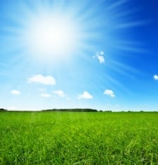 Vitamin D