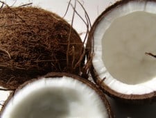 coconuts
