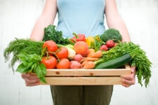 Organic Harvest