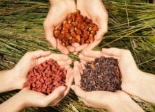  Superfoods