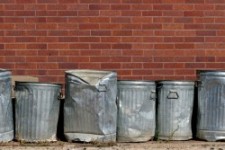 Your Body is a... Garbage Bucket?