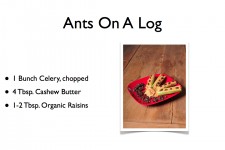 ants on a log slide.001