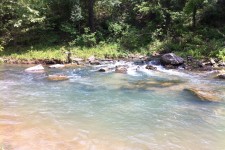 IMG_0561 IMG_0561