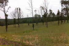 IMG_0569 IMG_0569