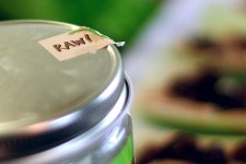 Raw_Ants_On_A_Log 1