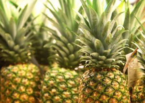 iStock_000003162425Small