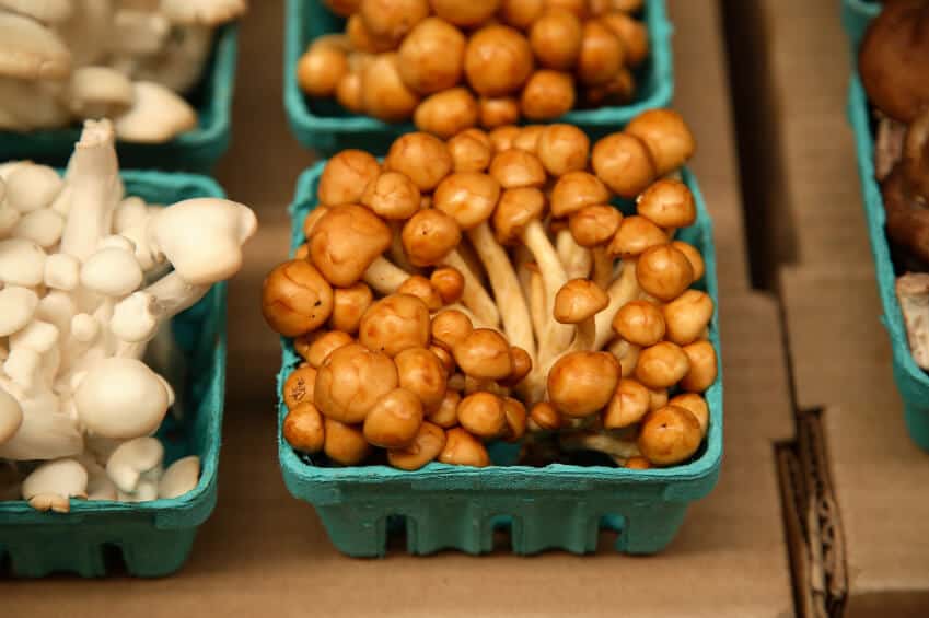 mushrooms